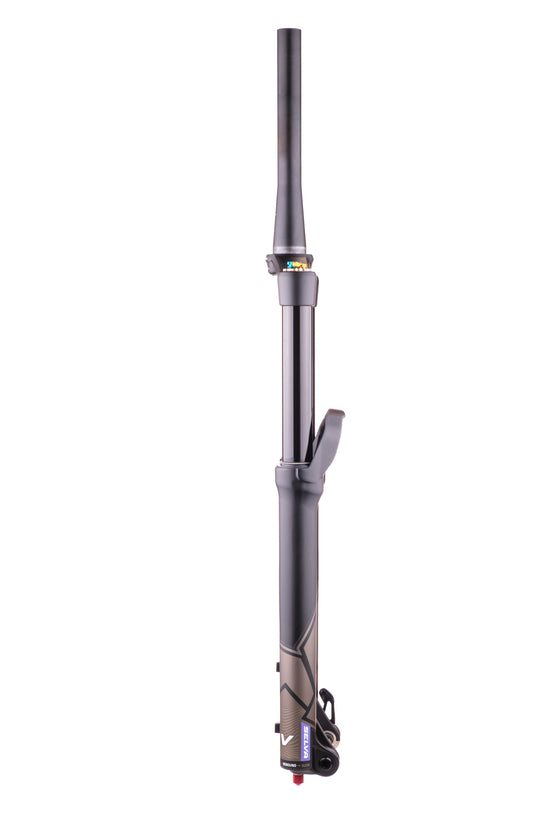 Formula Selva V