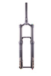 Formula Selva V